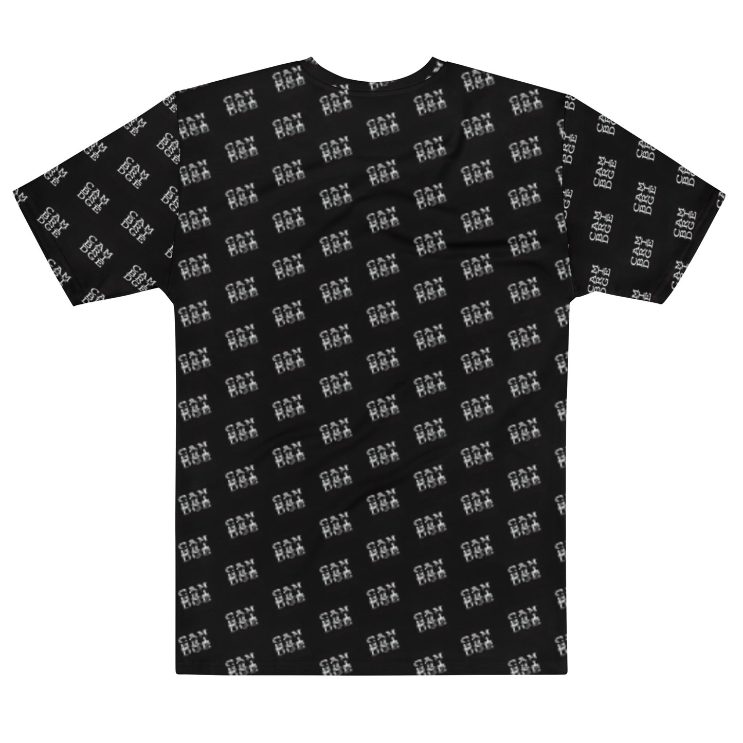 Men's t-shirt
