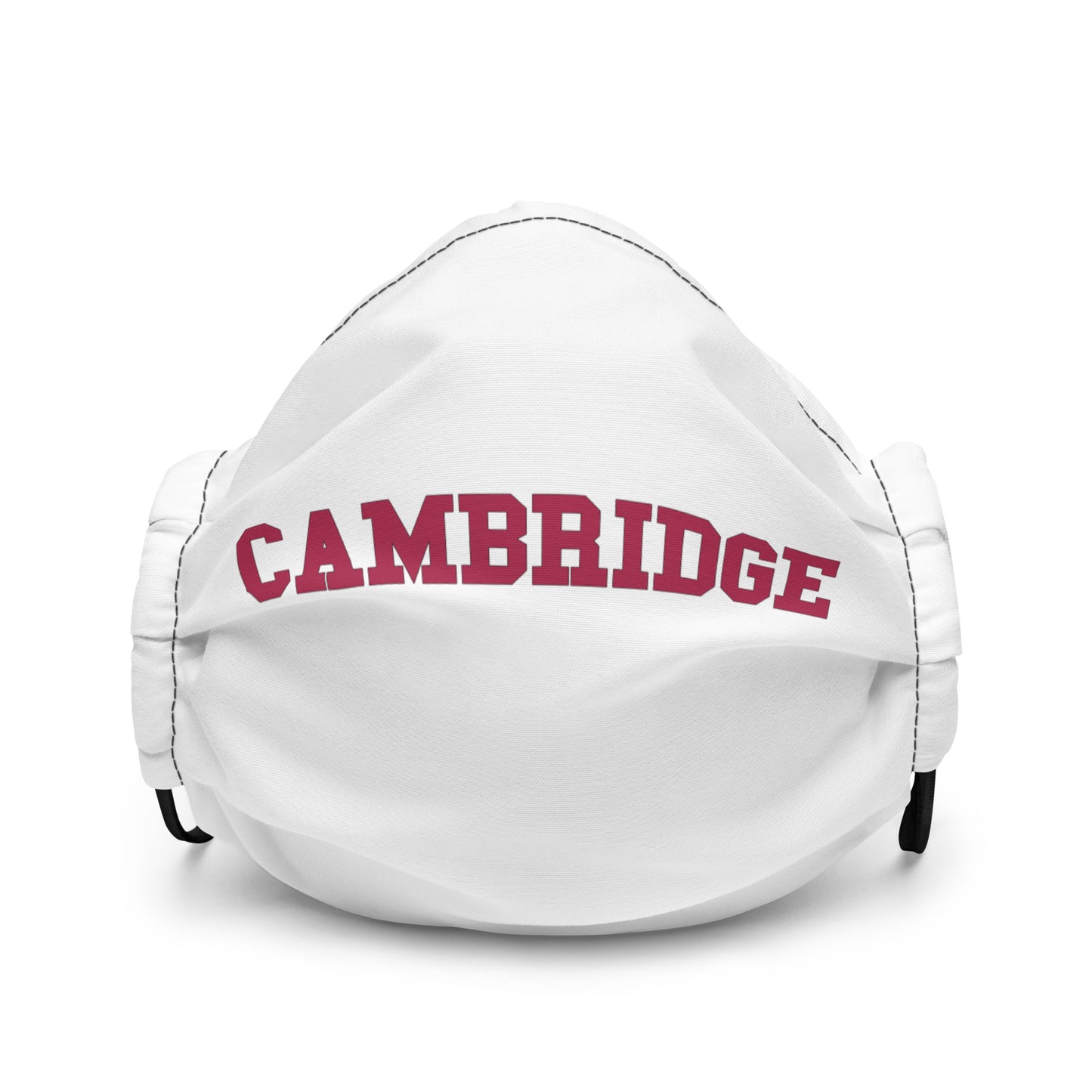 Premium face mask