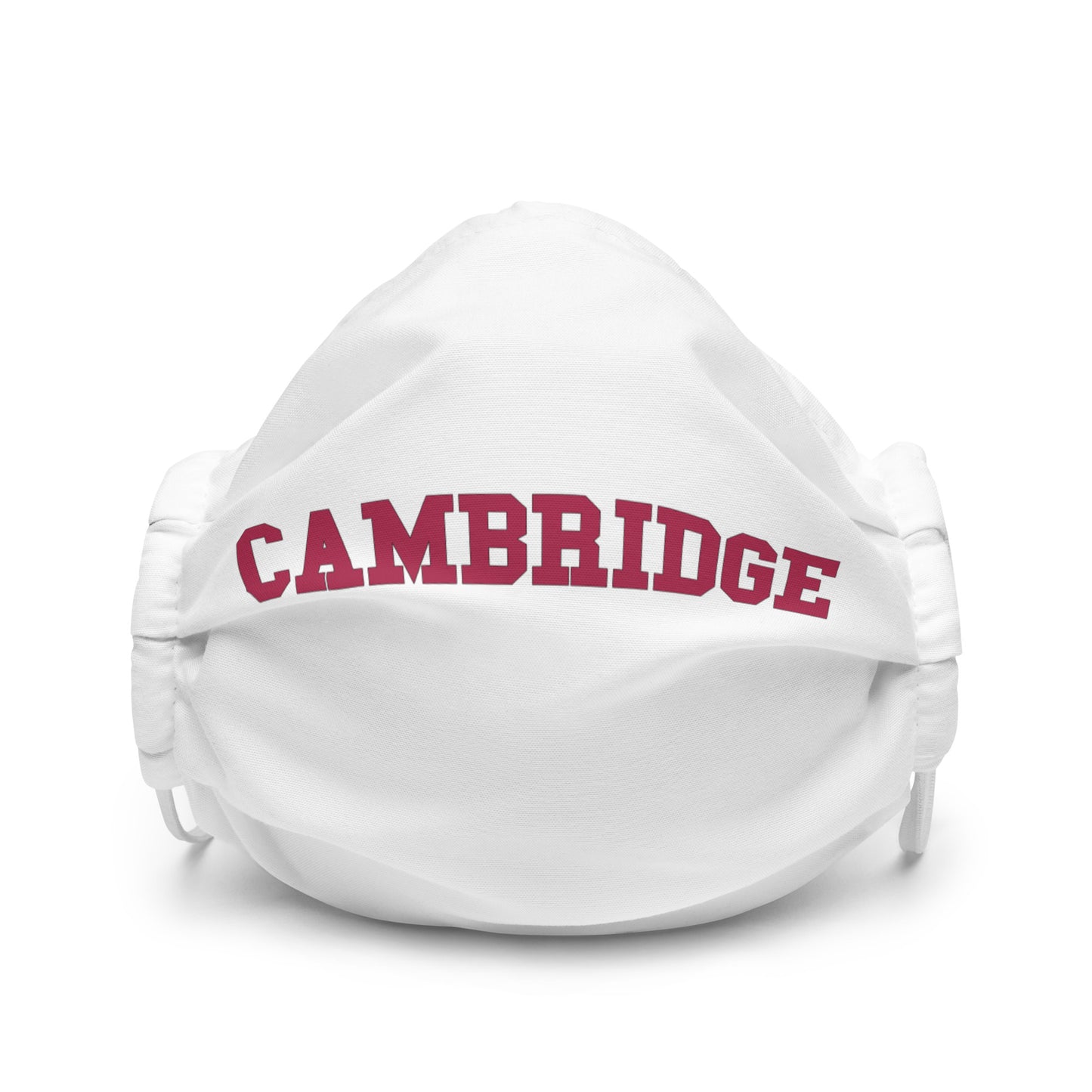 Premium face mask
