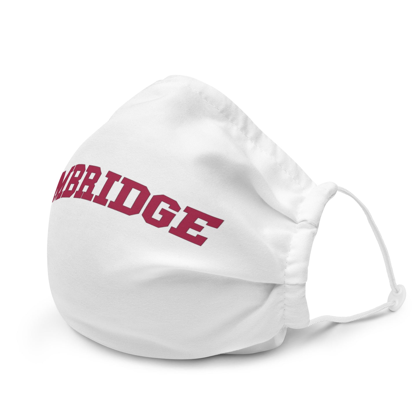 Premium face mask