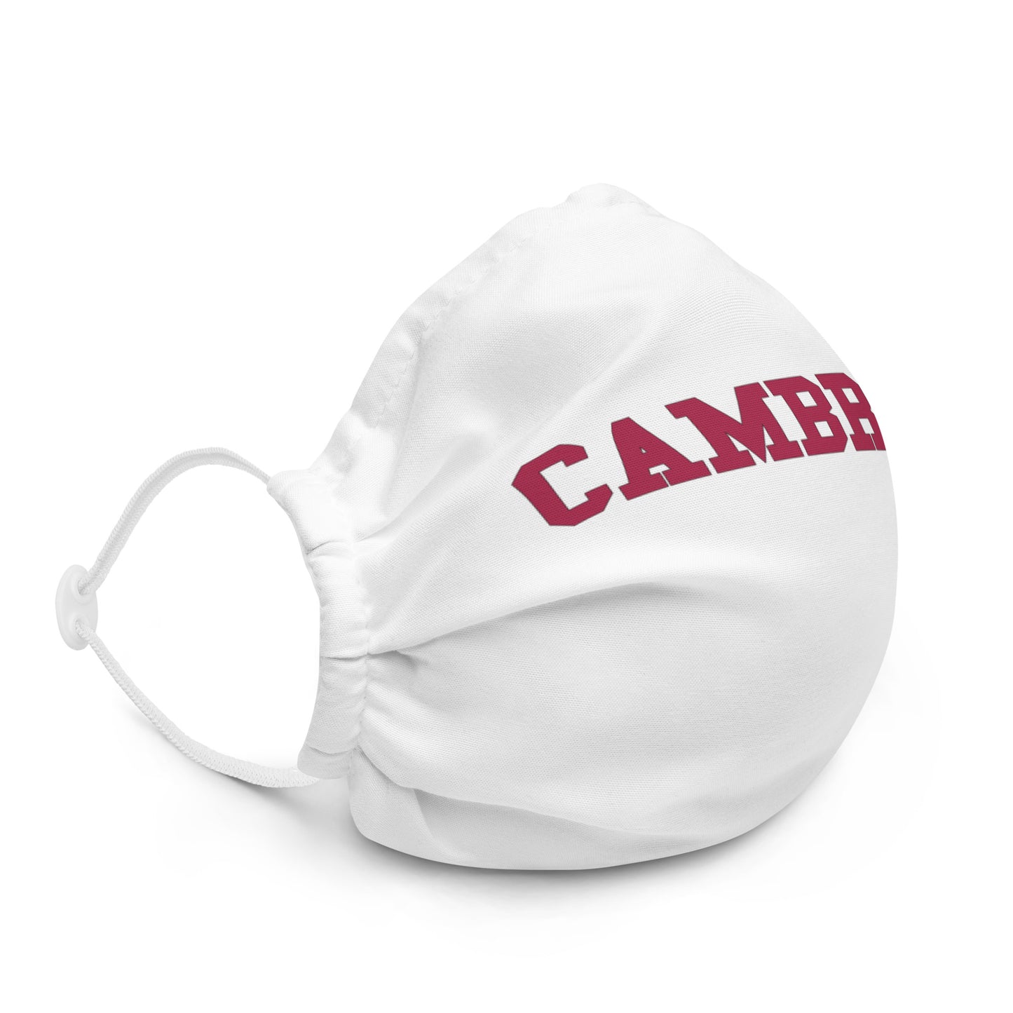 Premium face mask