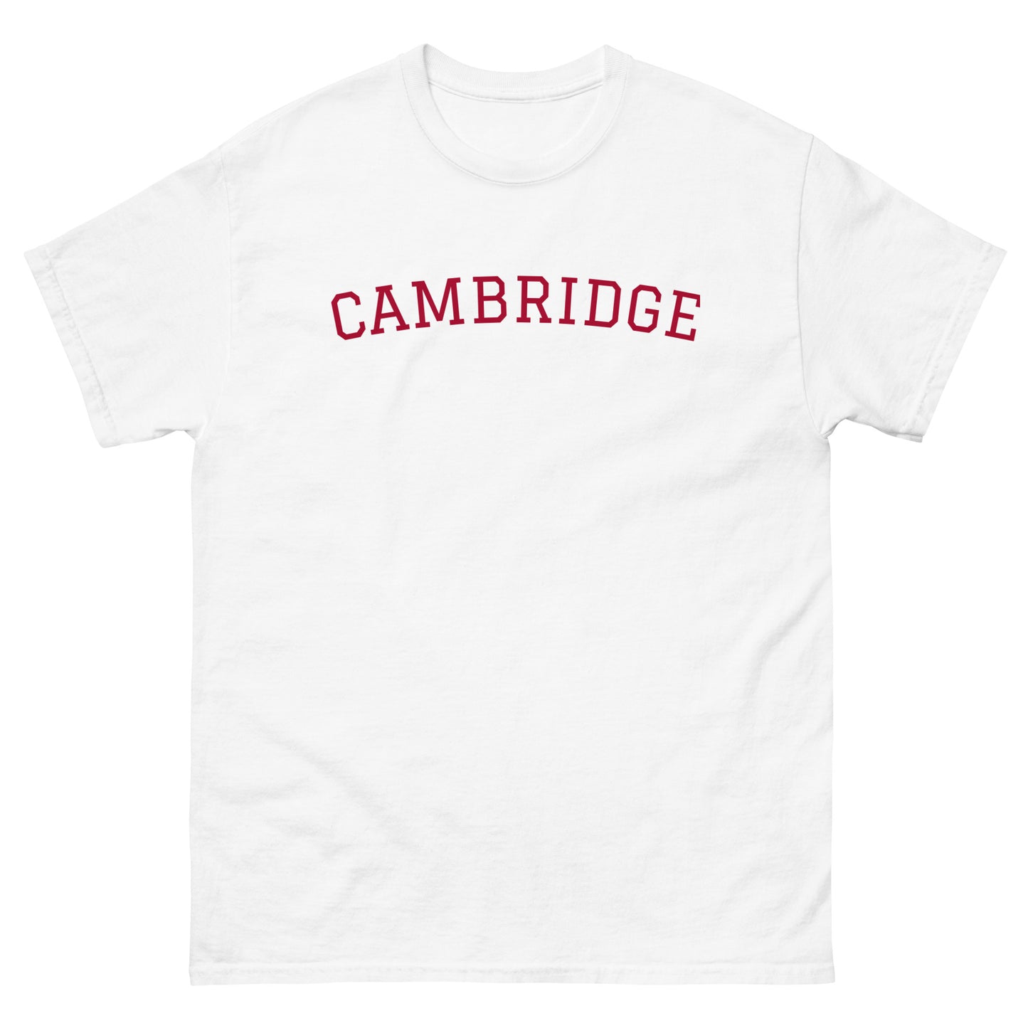 Men's classic tee