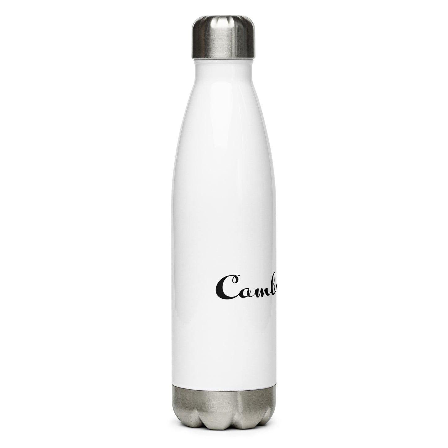 Stainless Steel Water Bottle