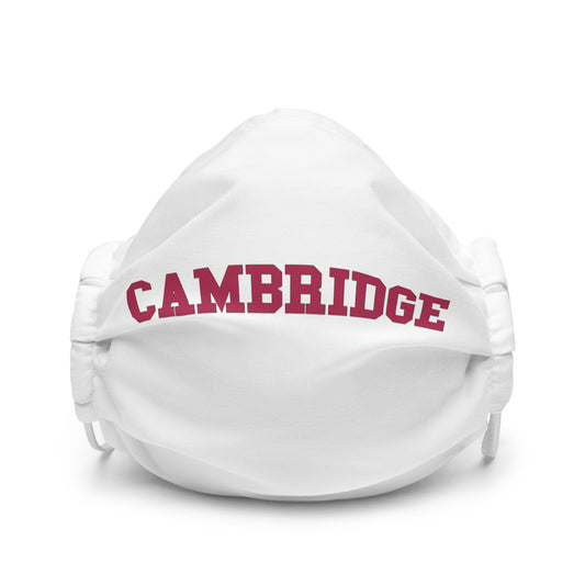 Premium face mask