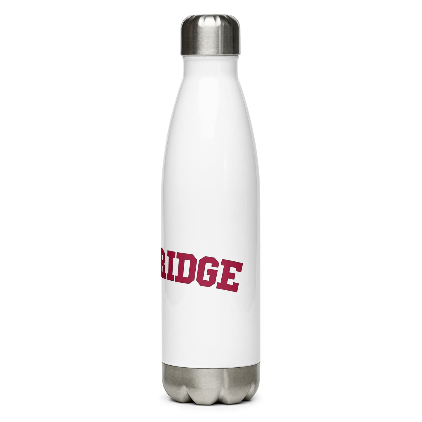 Stainless Steel Water Bottle